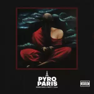 Pyro - Paris Ft. Shane Eagle & Nasty C (Cover)